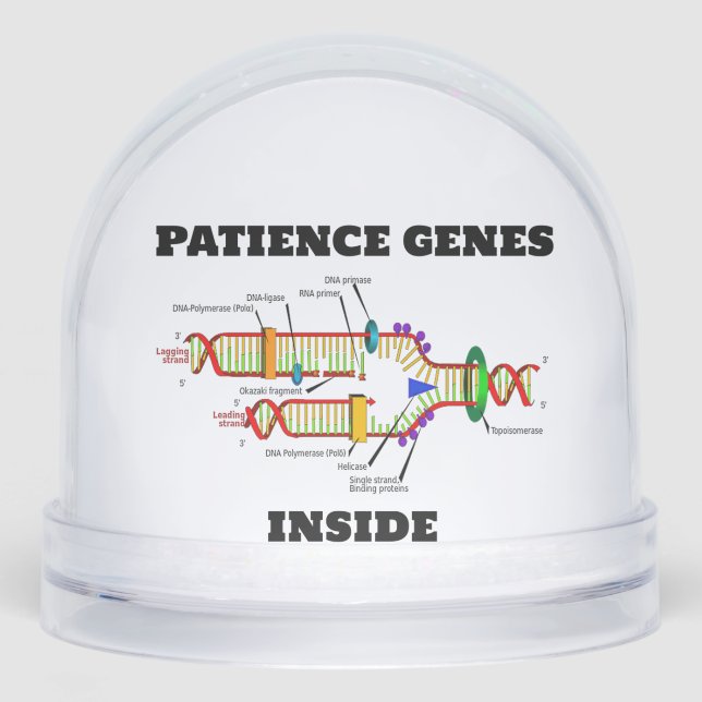 Patience Genes Inside DNA Replication Humour Snowglobe (Front)