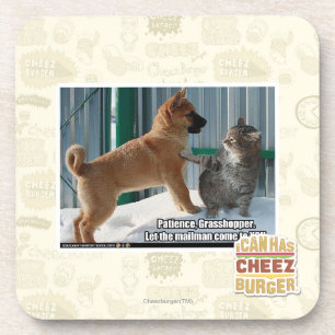 Patience, Grasshopper. Coaster