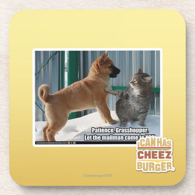 Patience, Grasshopper. Coaster (Front)
