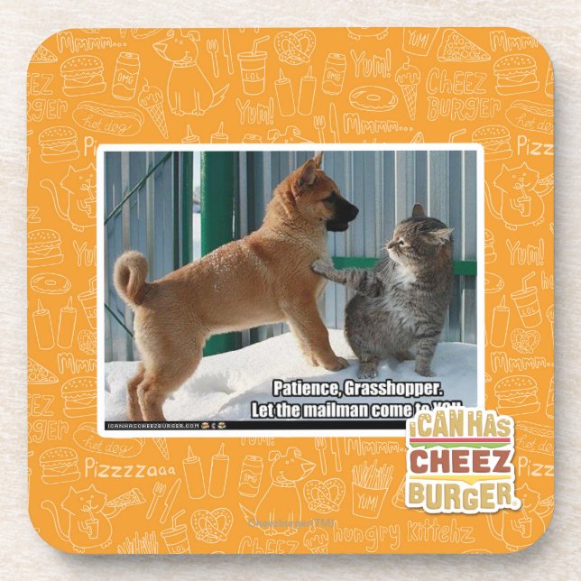 Patience, Grasshopper. Coaster (Front)