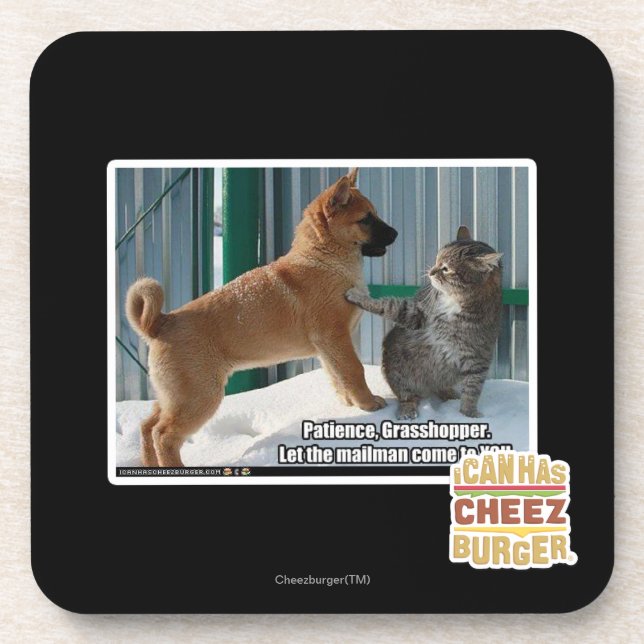 Patience, Grasshopper. Coaster (Front)