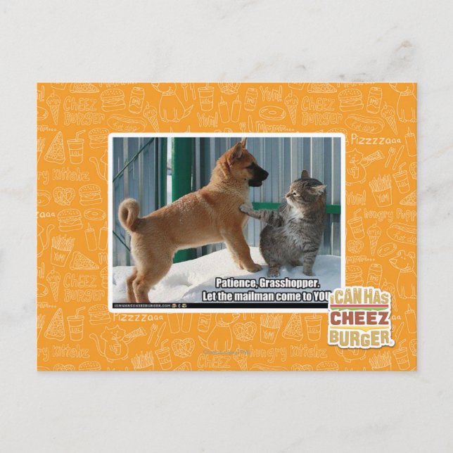 Patience, Grasshopper. Postcard (Front)