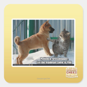 Patience, Grasshopper. Square Sticker