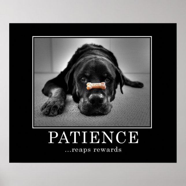 "Patience Reaps Rewards" Poster (Front)