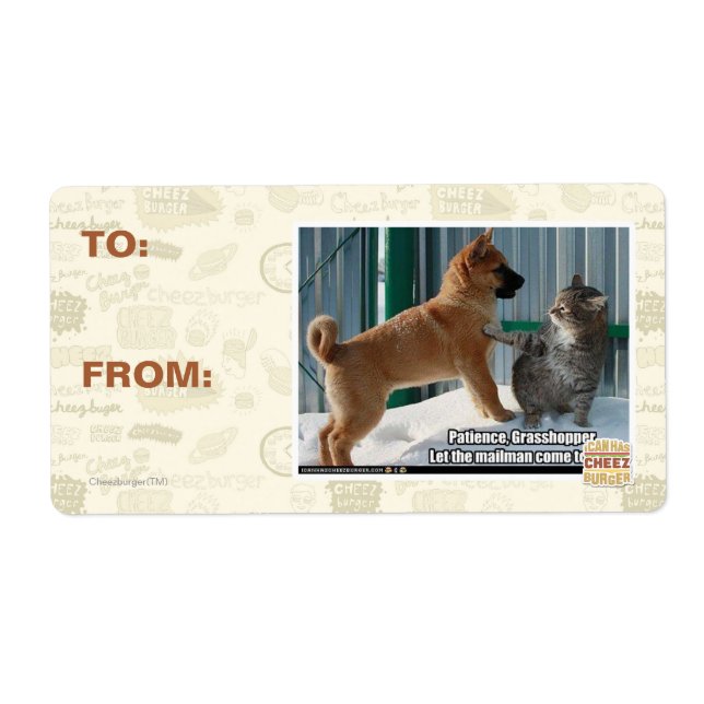 Patience, sauterelle. (Devant)