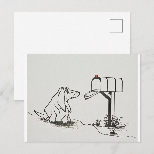 Patient Dog Waiting for Some Mail Postcard (Front/Back)