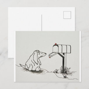 Patient Dog Waiting for Some Mail Postcard