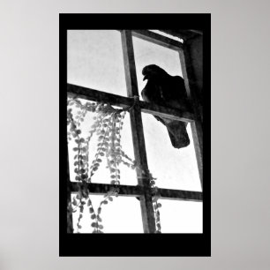 Patient Pigeon Poster
