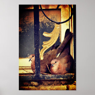 Patient Preparation Poster