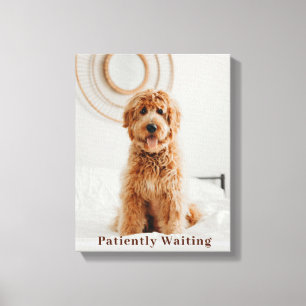  Patiently Waiting Canvas Print