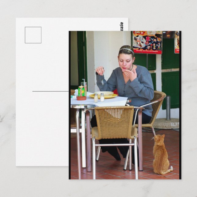 Patiently Waiting Postcard (Front/Back)