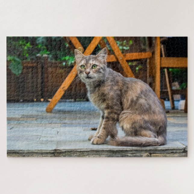 patio cat puzzle (Horizontal)