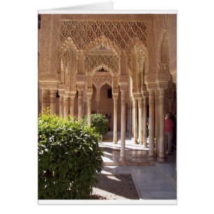 Patio de los Leones