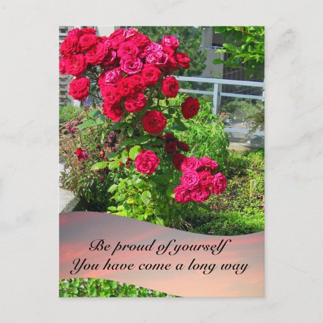 Patio Roses with Quote Postcard (Front)