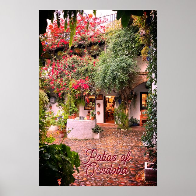 Patios of Córdoba Print,Value Poster Paper (Matte) (Front)