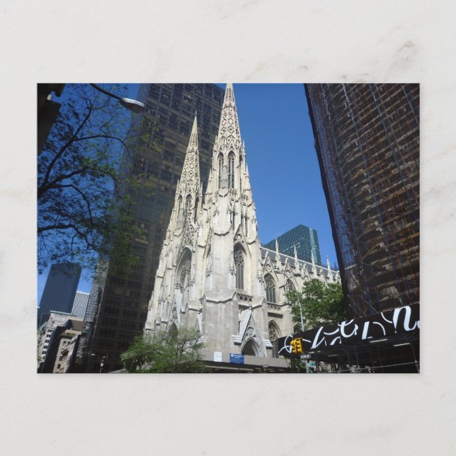 patricks cathedral postcard (Front)