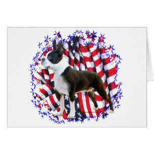 Patriot de Boston Terrier