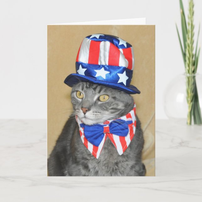Patriotic 4th of July Gray Tabby Cat card (Front)