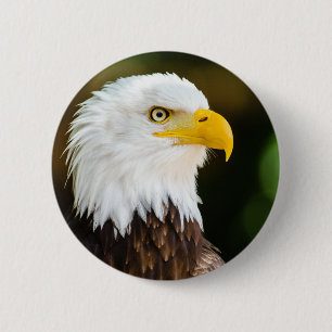 Patriotic Adult American Bald Eagle 2 Inch Round Button