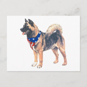 Patriotic Akita Postcard