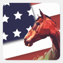 Patriotic American Flag and Horse
