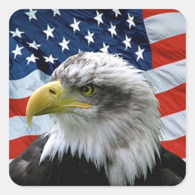 Patriotic Bald Eagle American Flag Sticker (Front)