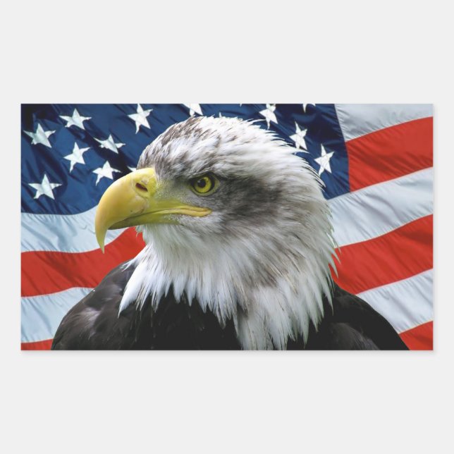 Patriotic Bald Eagle American Flag Sticker (Front)
