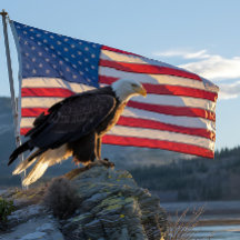 Patriotic Bald Eagle in front of American Flag