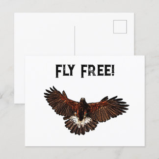 Patriotic Bald Eagle USA Flying Free Nature Art Postcard