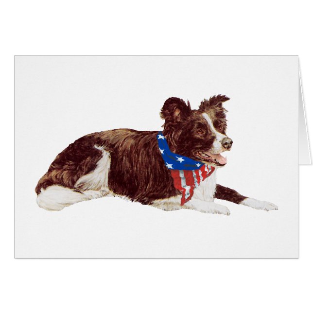 Patriotic Border Collies (Devant horizontal)
