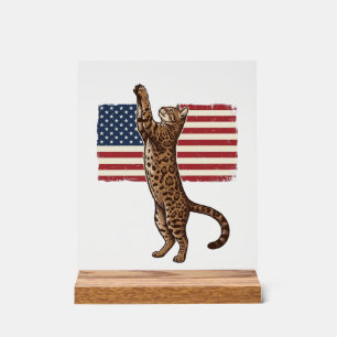Patriotic Cat American Flag Vintage Vector Design_ Acrylic Sign