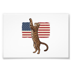 Patriotic Cat American Flag Vintage Vector Design_ Photo Print