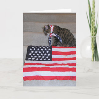 Patriotic Cat Card