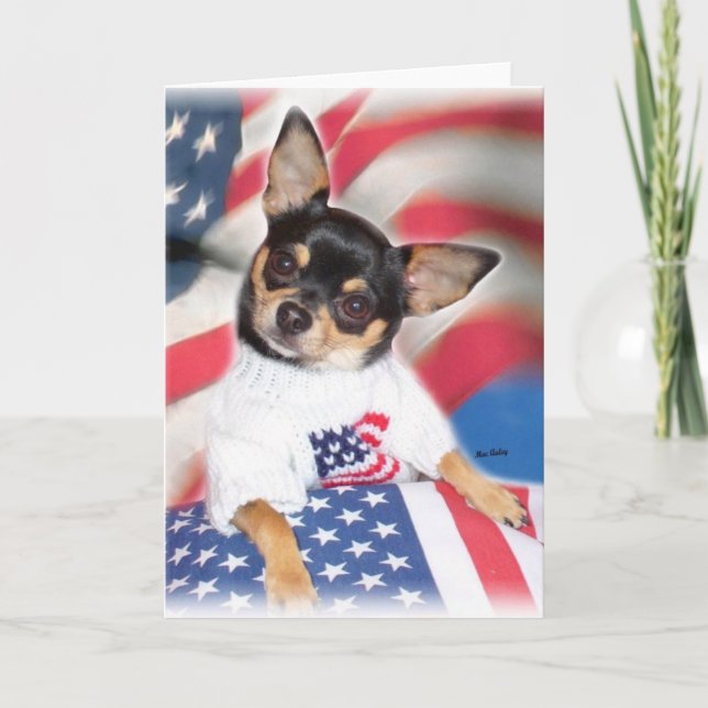 Patriotic Chihuahua greeting card (Front)