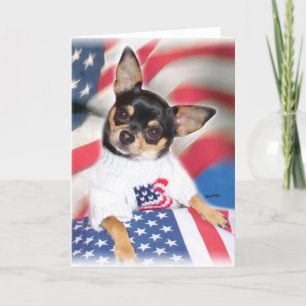 Patriotic Chihuahua greeting card