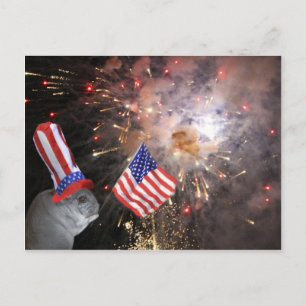Patriotic Chinchilla Postcard