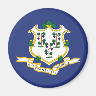 Patriotic Connecticut State Flag Magnet