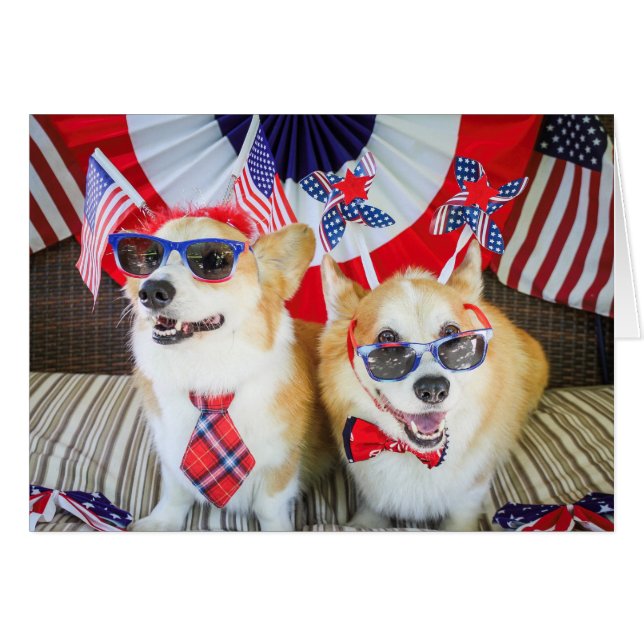 Patriotic Corgis blank card (Front Horizontal)