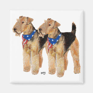 Patriotic Flag Duo Magnet