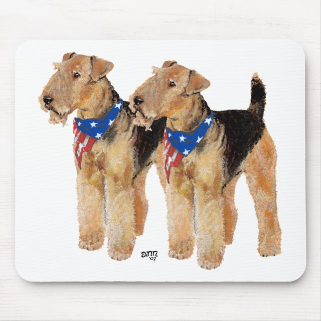 Patriotic Flag Duo Mouse Pad (Front)