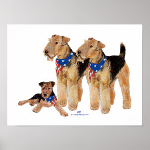 Patriotic Flag Trio Poster