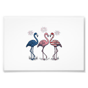 Patriotic Flamingo Trio Vintage Engraving Design_1 Photo Print