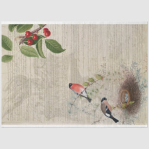 Patriotic Furniture Decoupage Paper