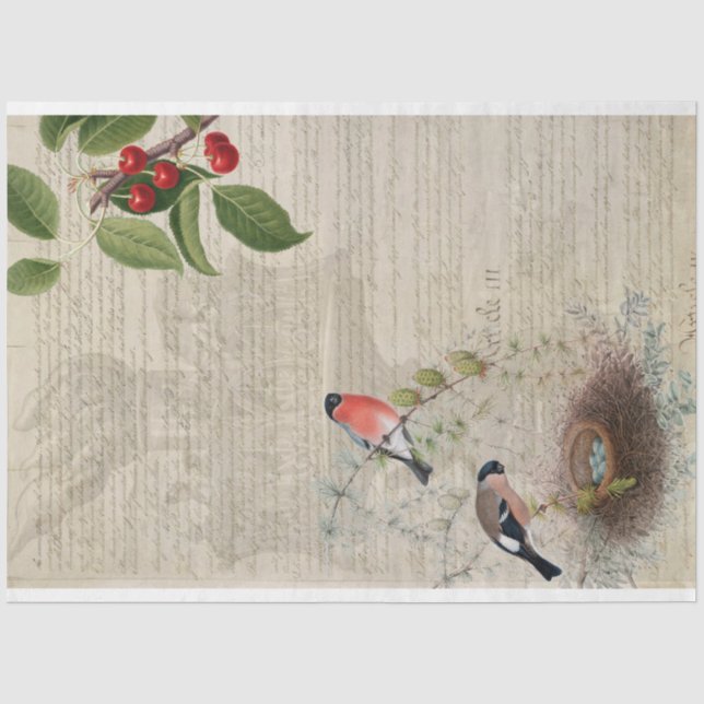 Patriotic Furniture Decoupage Paper (Front)