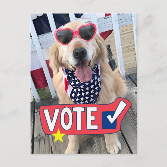 Patriotic Golden Retriever Dog Vote Postcard (Front)
