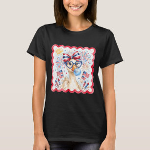 Patriotic Goose Fireworks Bubble Gum Usa Party T-Shirt