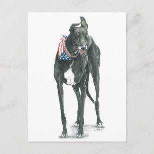 Patriotic Greyhound Dog Art Postcard