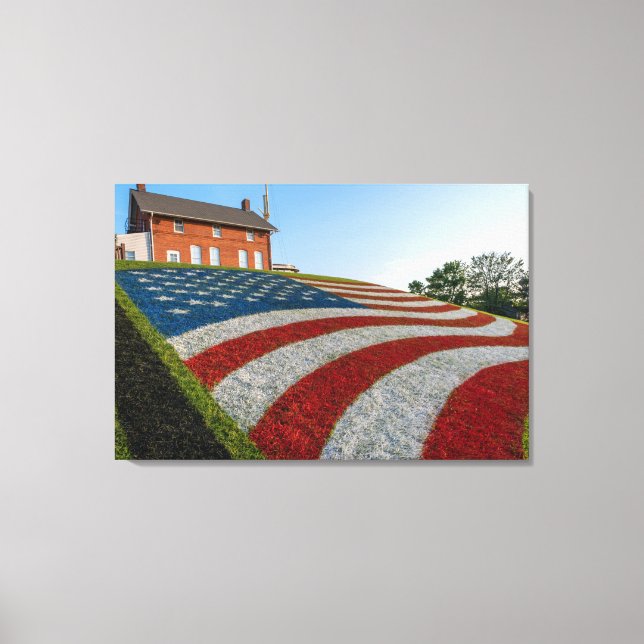 Patriotic Ground  Canvas Print (Front)