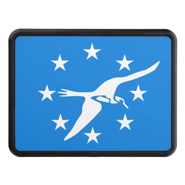 Patriotic hitch cover with Flag of Corpus Christi (Front)