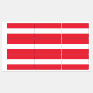 Patriotic labels with flag of Austria